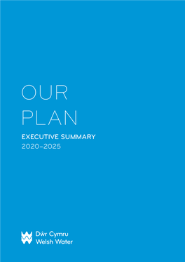 Executive Summary 2020–2025 2 | Strategic Report Pr19 Business Plan Executive Summary Pr19 Business Plan Executive Summary Strategic Report | 3