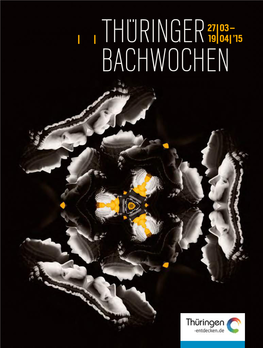 Thüringer Bachw Ochen 2015