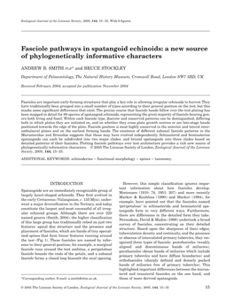 Fasciole Pathways in Spatangoid Echinoids: a New Source of Phylogenetically Informative Characters