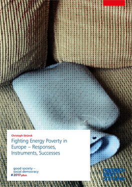 Fighting Energy Poverty in Europe – Responses, Instruments, Successes