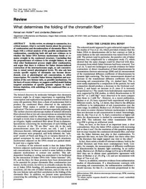 Review What Determines the Folding of the Chromatin Fiber?