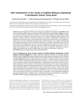 Shell Mor Shell Morphometrics in Four Species of Gadilidae (Mollusca, Our