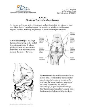 KNEE: Meniscus Tears • Cartilage Damage