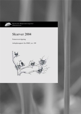 Skarver 2004