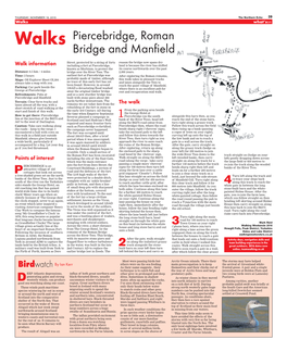 Piercebridge, Roman Bridge and Manfield