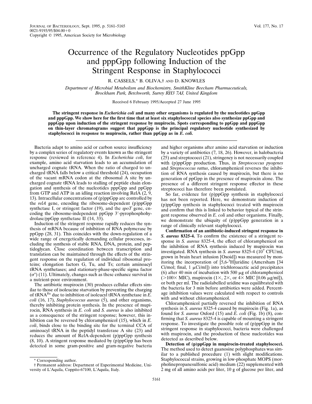 Occurrence of the Regulatory Nucleotides Ppgpp and Pppgpp Following Induction of the Stringent Response in Staphylococci