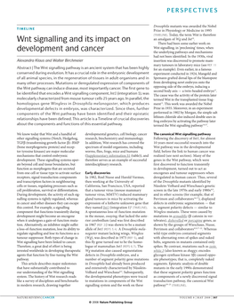 Wnt Signalling and Its Impact on Development and Cancer