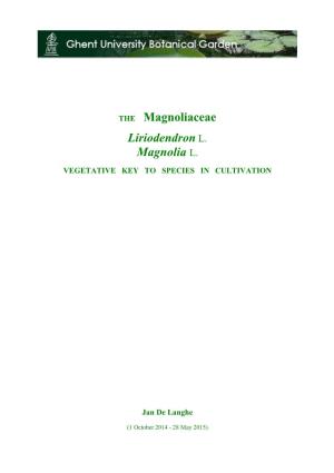 THE Magnoliaceae Liriodendron L. Magnolia L