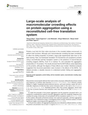 Large-Scale Analysis of Macromolecular Crowding Effects on Protein Aggregation Using a Reconstituted Cell-Free Translation System