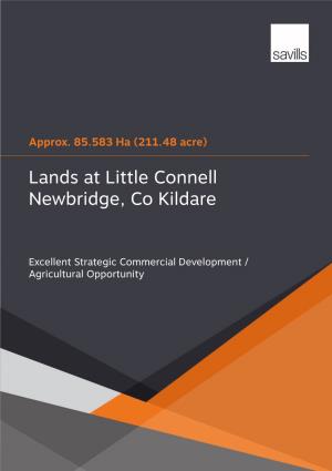 Lands at Little Connell Newbridge, Co Kildare