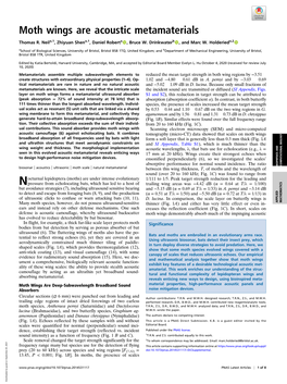 Moth Wings Are Acoustic Metamaterials