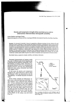 Density and Compressive Strength of the Coral Siderastrea Siderea (Scleractinia: Siderastreidae): Intraspecific Variability