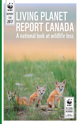 Living Planet Report Canada a National Look at Wildlife Loss