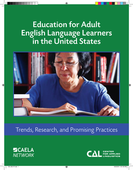 Education for Adult English Language Learners in the United States