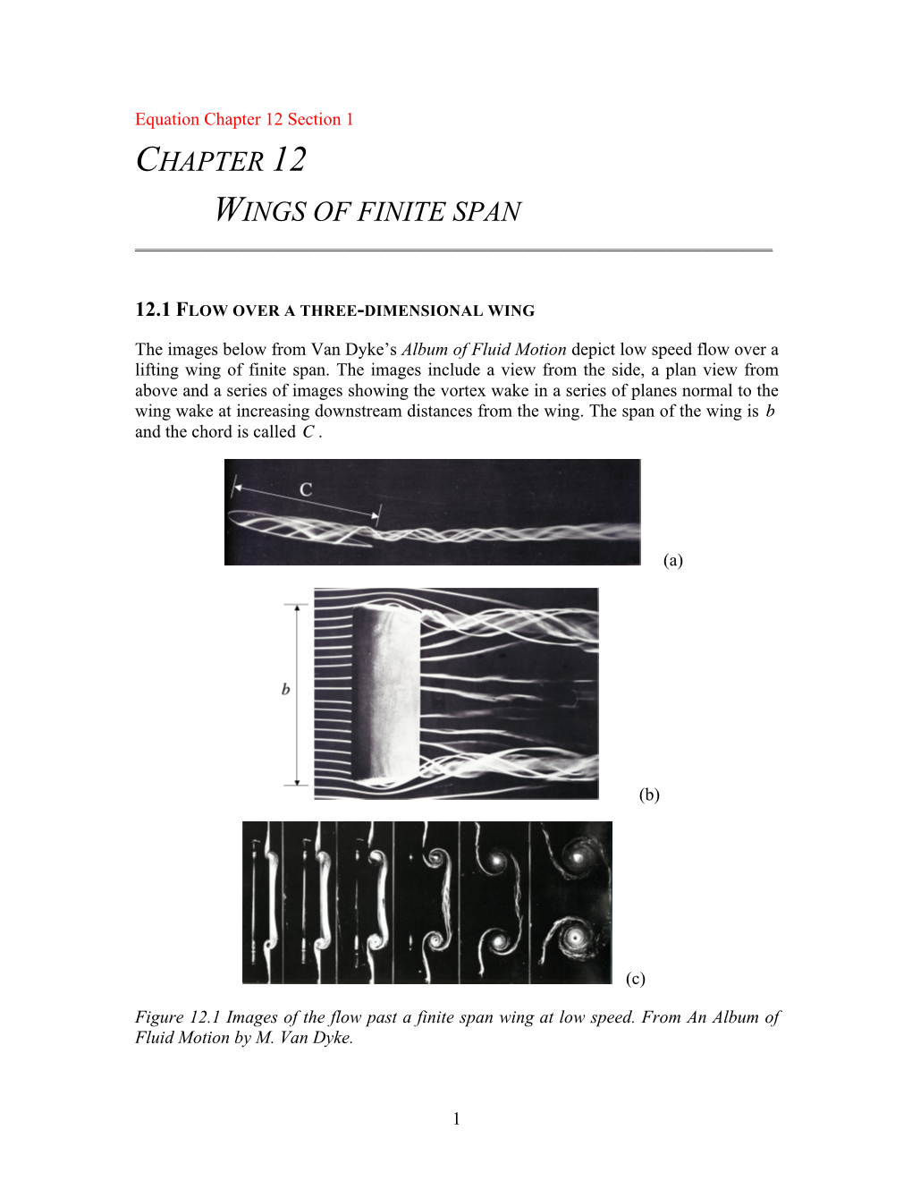 Chapter 12 Wings of Finite Span