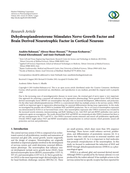 Dehydroepiandrosterone Stimulates Nerve Growth Factor and Brain Derived Neurotrophic Factor in Cortical Neurons