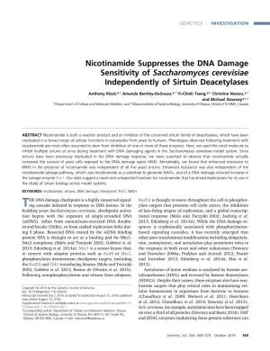 Nicotinamide Suppresses the DNA Damage Sensitivity of Saccharomyces Cerevisiae Independently of Sirtuin Deacetylases