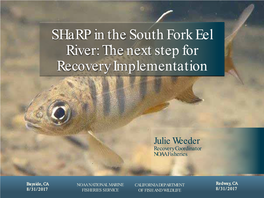Sharp in the South Fork Eel River: the Next Step for Recovery Implementation
