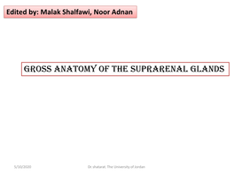 Gross Anatomy of the Suprarenal Glands