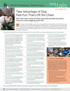 Take Advantage of Dog Park Fun That's Off the Chain(PDF)