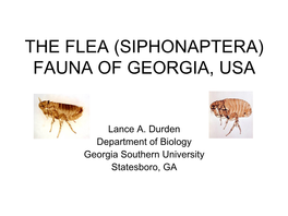 The Flea (Siphonaptera) Fauna of Georgia, Usa