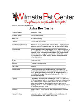 Asian Box Turtle