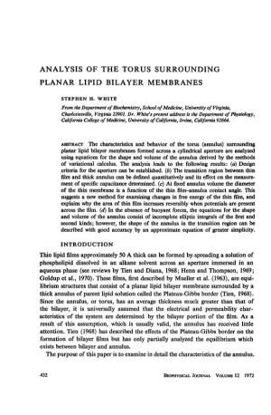 Analysis of the Torus Surrounding Planar Lipid Bilayer Membranes