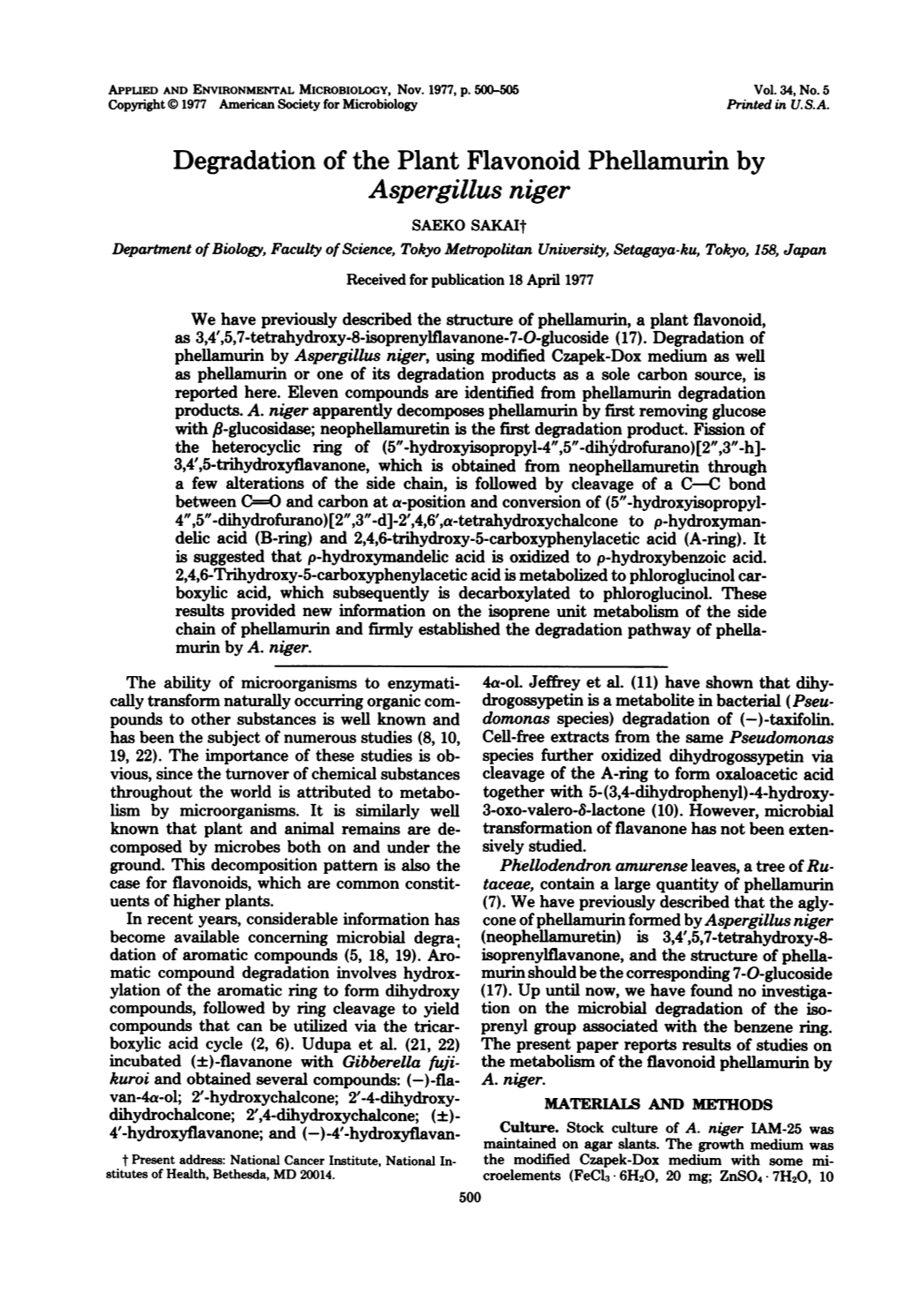 Degradation of the Plant Flavonoid Phellamurin by Aspergillus Niger