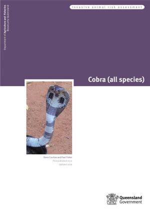 Cobra Risk Assessment