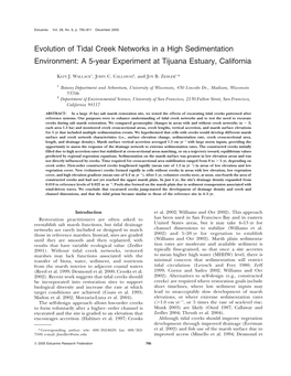 Evolution of Tidal Creek Networks in a High Sedimentation Environment: a 5-Year Experiment at Tijuana Estuary, California