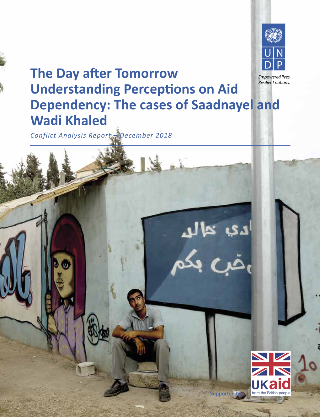 The Cases of Saadnayel and Wadi Khaled Conflict Analysis Report – December 2018