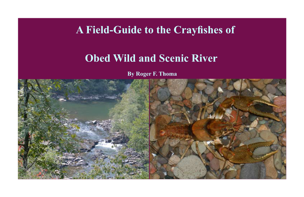 A Field-Guide to the Crayfishes of Obed Wild and Scenic River