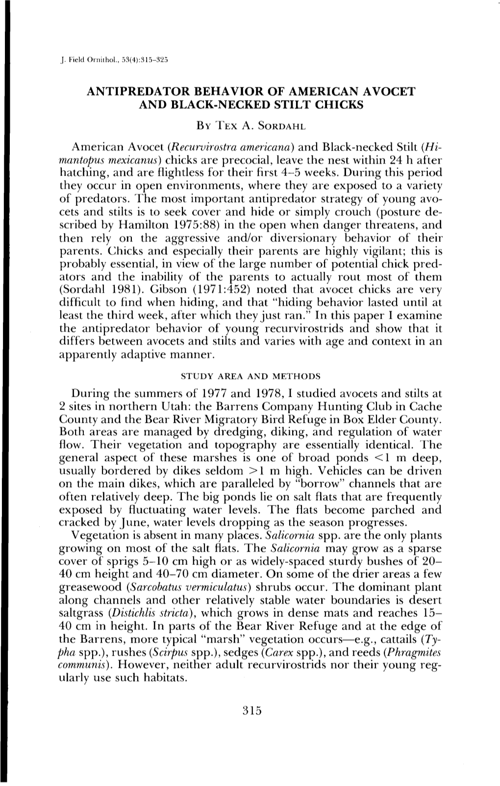 Antipredator Behavior of American Avoget and Black-Necked Stilt Chicks