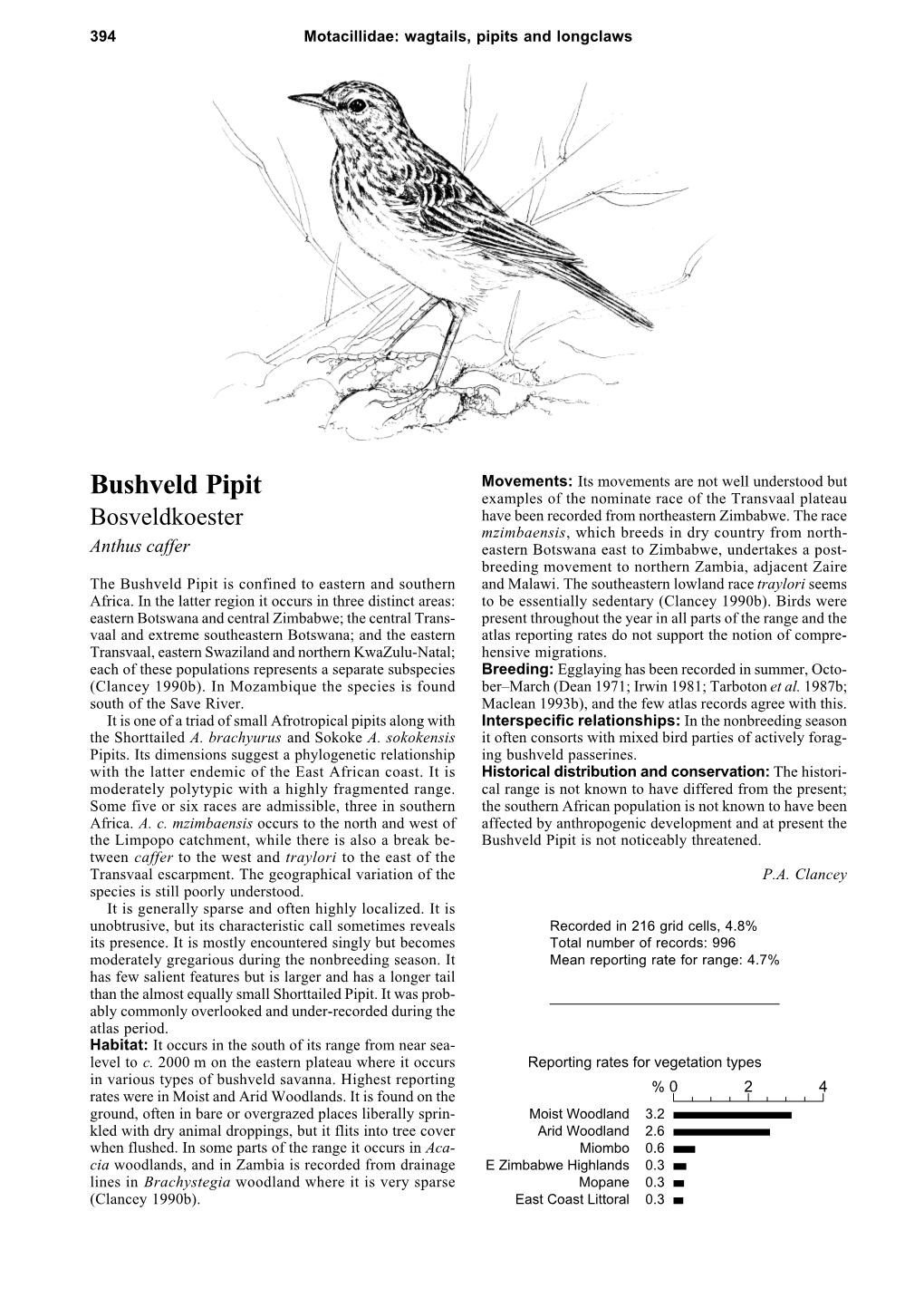 Bushveld Pipit Examples of the Nominate Race of the Transvaal Plateau Bosveldkoester Have Been Recorded from Northeastern Zimbabwe