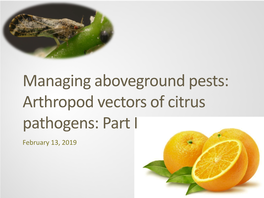 Managing Aboveground Pests: Arthropod Vectors of Citrus Pathogens: Part I February 13, 2019 Lecture Overview