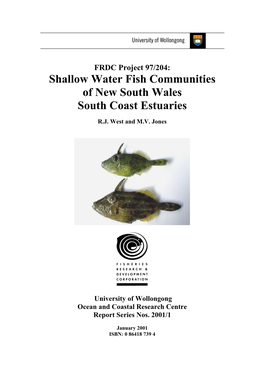 Shallow Water Fish Communities of New South Wales South Coast Estuaries