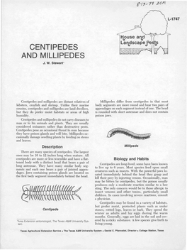 Centipedes and Millipedes J