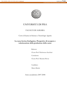 Università Di Pisa