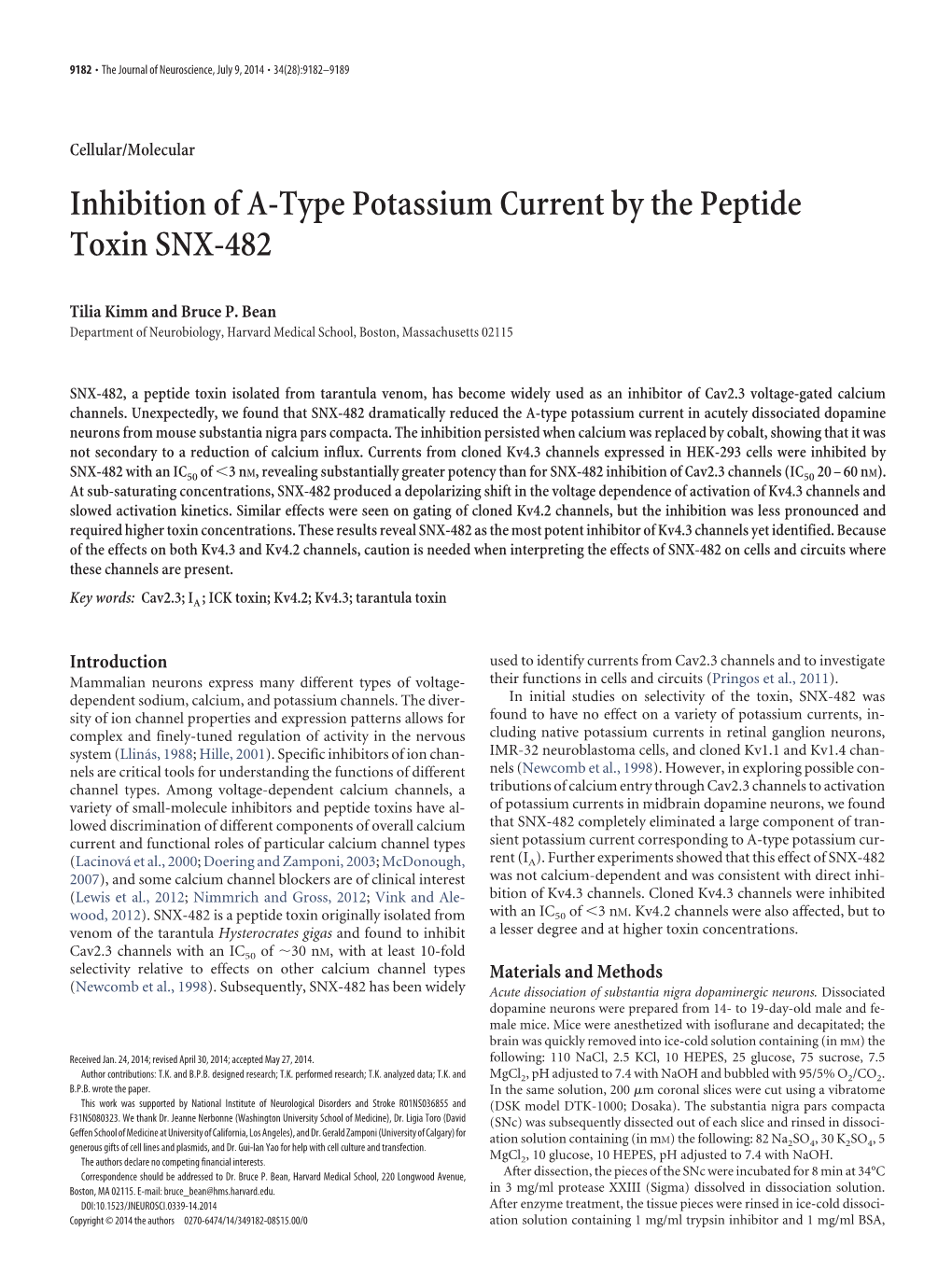 Inhibition of A-Type Potassium Current by the Peptide Toxin SNX-482