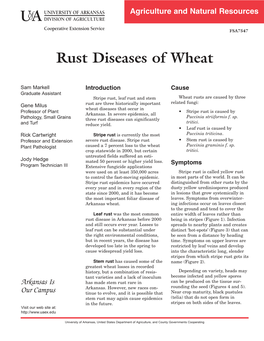Rust Diseases of Wheat