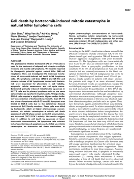 Cell Death by Bortezomib-Induced Mitotic Catastrophe in Natural Killer Lymphoma Cells