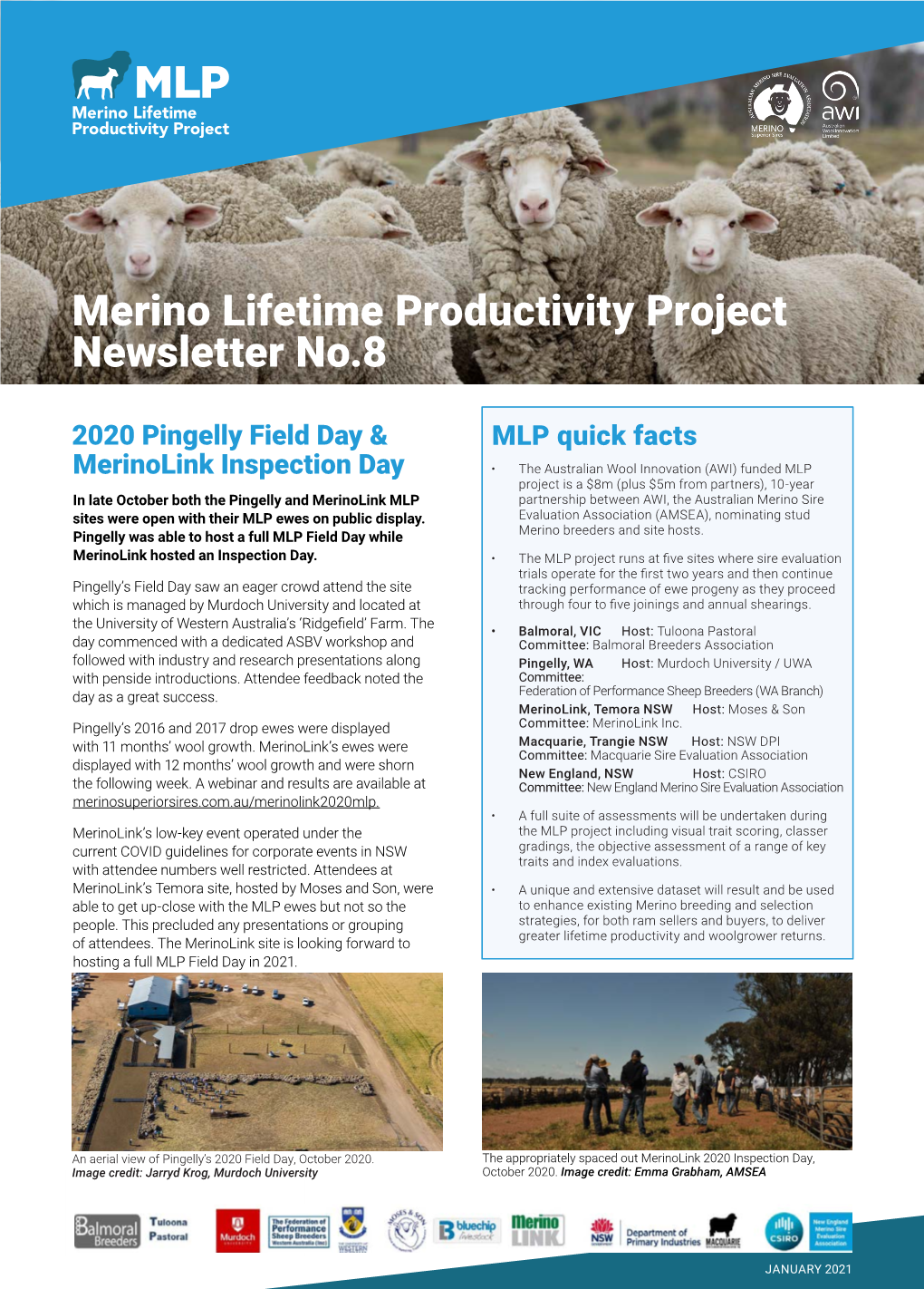 Merino Lifetime Productivity Project Newsletter No.8