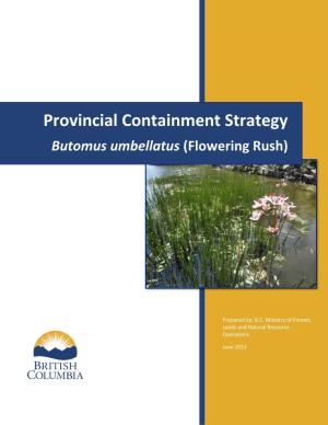 Provincial Containment Strategy