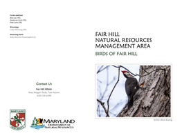 Birds of Fair Hill Brochure