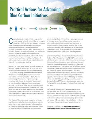 Practical Actions for Advancing Blue Carbon Initiatives