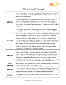 “When Eels Attack!” Transcript