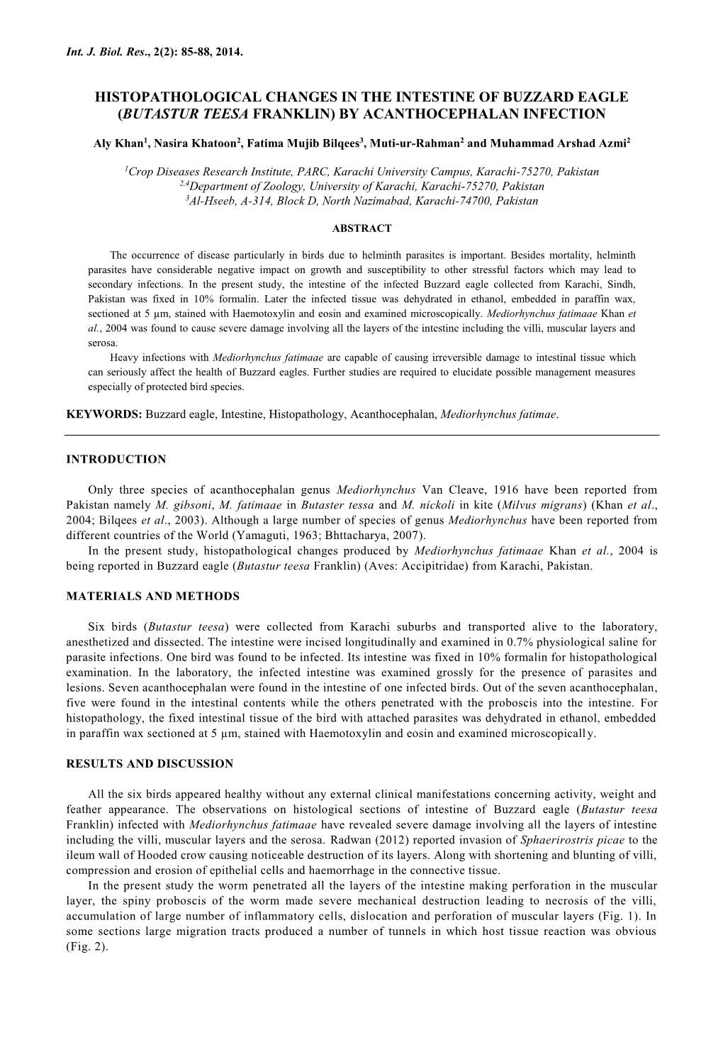 Histopathological Changes in the Intestine of Buzzard Eagle (Butastur Teesa Franklin) by Acanthocephalan Infection