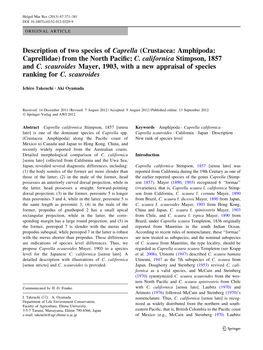 Description of Two Species of Caprella (Crustacea: Amphipoda: Caprellidae) from the North Paciﬁc; C