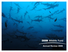 Annual Review 2009 Sharks (Costa Rica), Pretoma