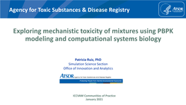 Exploring Mechanistic Toxicity of Mixtures Using PBPK Modeling and Computational Systems Biology